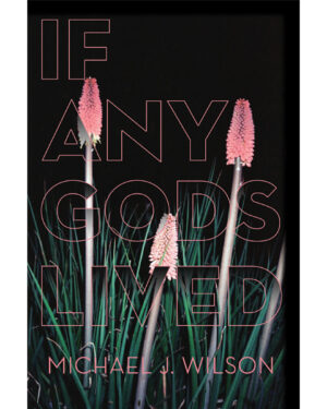 IF ANY GODS LIVED: POEMS